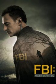 ФБР: Самые разыскиваемые: 1 сезон