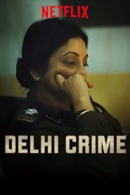 Преступление в Дели: 1 сезон